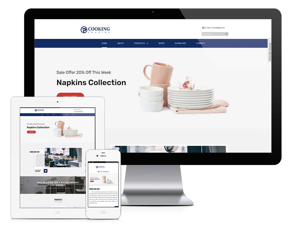 东兴定制网站案例